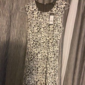 Dynamite Jacquard Fit and Flare Dress XS